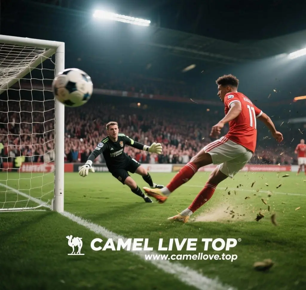 Camel Live Login Loop Problem