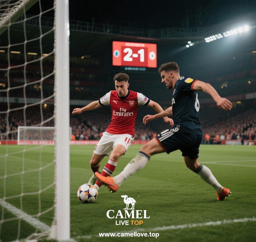 Camel Live Background Audio Play