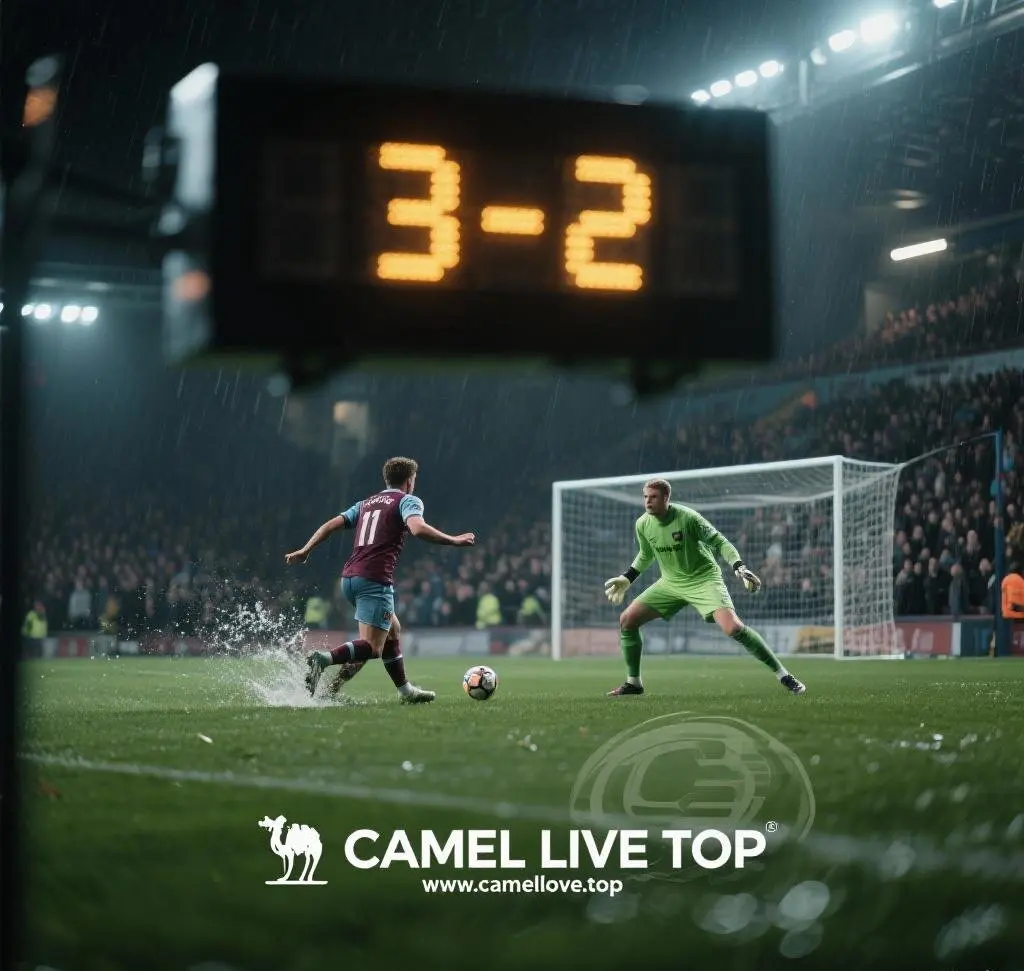 Camel Live Storage Space Usage