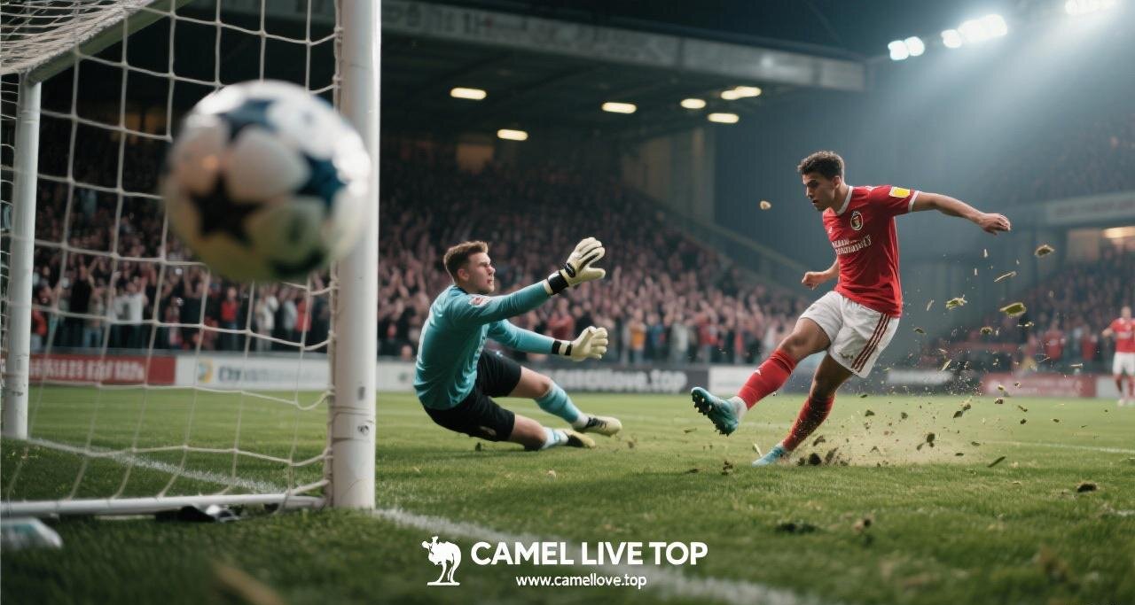 Camel Live Older Version APK