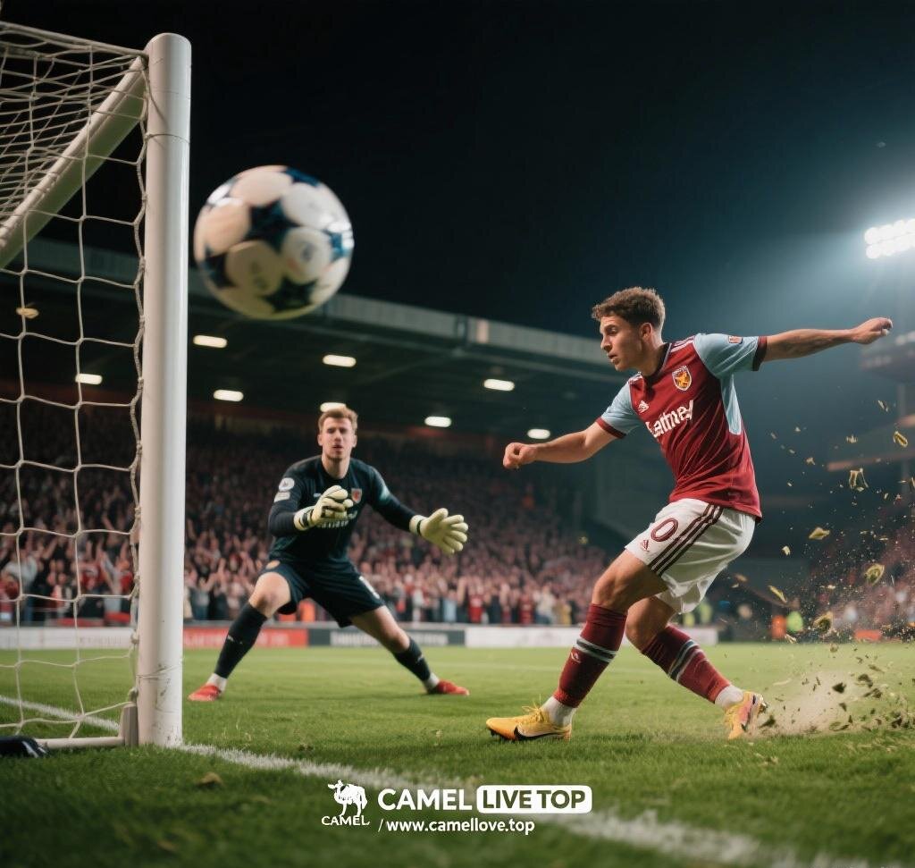 Camel Live Best for Lower Leagues