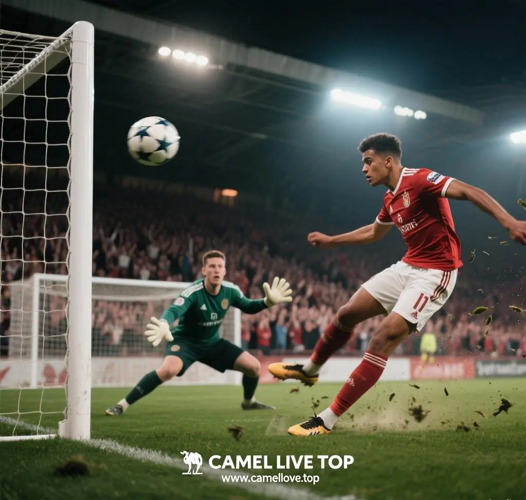 Camel Live vs Official Team Apps