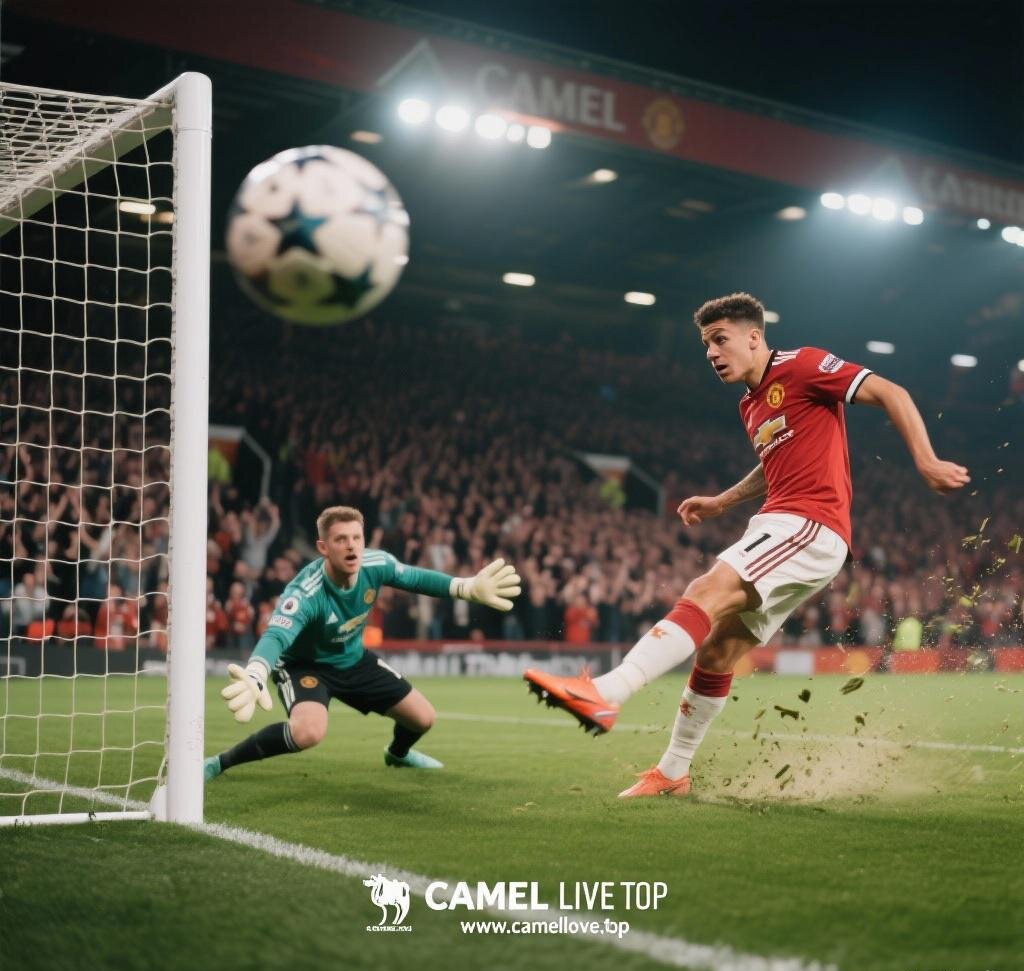 Camel Live Best for Push Alerts